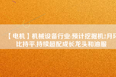 【電機】機械設(shè)備行業(yè):預(yù)計挖掘機2月環(huán)比持平,持續(xù)超配成長龍頭和油服
          