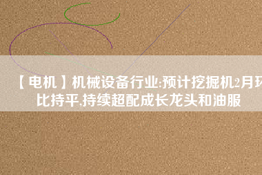 【電機】機械設(shè)備行業(yè):預(yù)計挖掘機2月環(huán)比持平,持續(xù)超配成長龍頭和油服
          