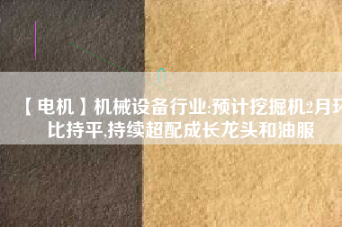 【電機】機械設(shè)備行業(yè):預(yù)計挖掘機2月環(huán)比持平,持續(xù)超配成長龍頭和油服
          