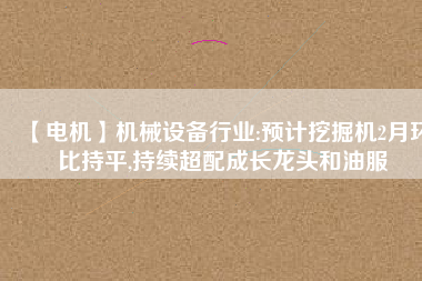 【電機】機械設(shè)備行業(yè):預(yù)計挖掘機2月環(huán)比持平,持續(xù)超配成長龍頭和油服
          