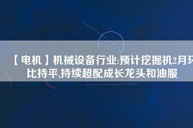 【電機】機械設(shè)備行業(yè):預(yù)計挖掘機2月環(huán)比持平,持續(xù)超配成長龍頭和油服
          