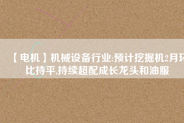 【電機】機械設(shè)備行業(yè):預(yù)計挖掘機2月環(huán)比持平,持續(xù)超配成長龍頭和油服
          