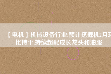 【電機】機械設(shè)備行業(yè):預(yù)計挖掘機2月環(huán)比持平,持續(xù)超配成長龍頭和油服
          