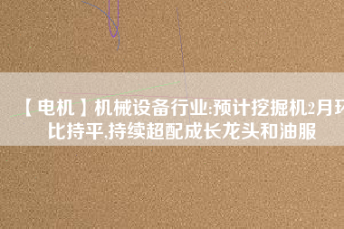 【電機】機械設(shè)備行業(yè):預(yù)計挖掘機2月環(huán)比持平,持續(xù)超配成長龍頭和油服
          