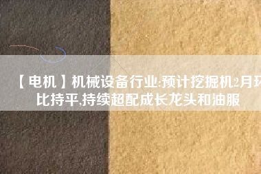 【電機】機械設(shè)備行業(yè):預(yù)計挖掘機2月環(huán)比持平,持續(xù)超配成長龍頭和油服
          