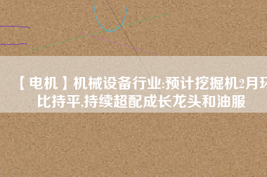 【電機】機械設(shè)備行業(yè):預(yù)計挖掘機2月環(huán)比持平,持續(xù)超配成長龍頭和油服
          