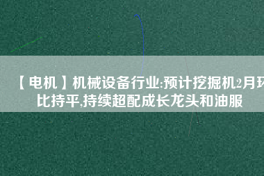 【電機】機械設(shè)備行業(yè):預(yù)計挖掘機2月環(huán)比持平,持續(xù)超配成長龍頭和油服
          