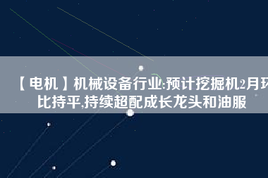 【電機】機械設(shè)備行業(yè):預(yù)計挖掘機2月環(huán)比持平,持續(xù)超配成長龍頭和油服
          