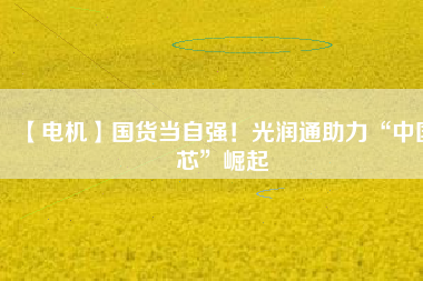 【電機(jī)】國(guó)貨當(dāng)自強(qiáng)！光潤(rùn)通助力“中國(guó)芯”崛起
          