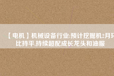【電機】機械設(shè)備行業(yè):預(yù)計挖掘機2月環(huán)比持平,持續(xù)超配成長龍頭和油服
          