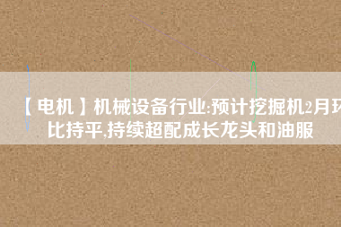 【電機】機械設(shè)備行業(yè):預(yù)計挖掘機2月環(huán)比持平,持續(xù)超配成長龍頭和油服
          