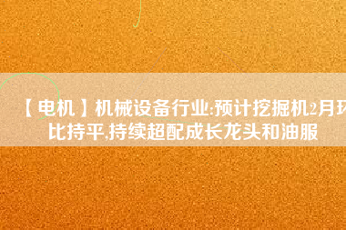 【電機】機械設(shè)備行業(yè):預(yù)計挖掘機2月環(huán)比持平,持續(xù)超配成長龍頭和油服
          