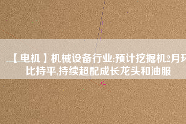 【電機】機械設(shè)備行業(yè):預(yù)計挖掘機2月環(huán)比持平,持續(xù)超配成長龍頭和油服
          