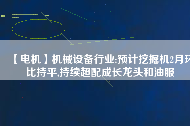 【電機】機械設(shè)備行業(yè):預(yù)計挖掘機2月環(huán)比持平,持續(xù)超配成長龍頭和油服
          