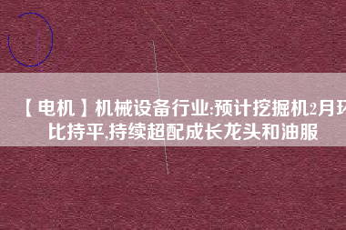 【電機】機械設(shè)備行業(yè):預(yù)計挖掘機2月環(huán)比持平,持續(xù)超配成長龍頭和油服
          