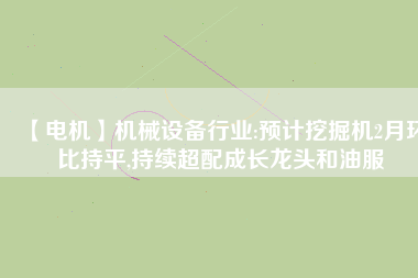 【電機】機械設(shè)備行業(yè):預(yù)計挖掘機2月環(huán)比持平,持續(xù)超配成長龍頭和油服
          
