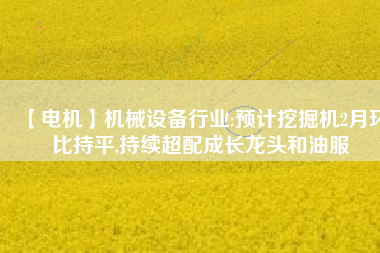 【電機】機械設(shè)備行業(yè):預(yù)計挖掘機2月環(huán)比持平,持續(xù)超配成長龍頭和油服
          