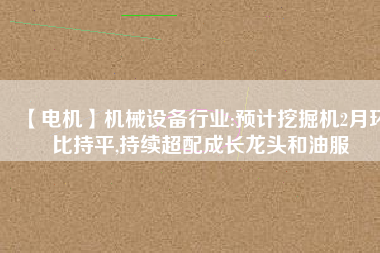 【電機】機械設(shè)備行業(yè):預(yù)計挖掘機2月環(huán)比持平,持續(xù)超配成長龍頭和油服
          