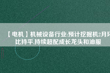 【電機】機械設(shè)備行業(yè):預(yù)計挖掘機2月環(huán)比持平,持續(xù)超配成長龍頭和油服
          