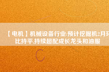 【電機】機械設(shè)備行業(yè):預(yù)計挖掘機2月環(huán)比持平,持續(xù)超配成長龍頭和油服
          