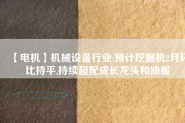 【電機】機械設(shè)備行業(yè):預(yù)計挖掘機2月環(huán)比持平,持續(xù)超配成長龍頭和油服
          