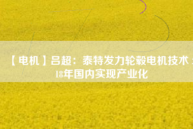 【電機(jī)】呂超:泰特發(fā)力輪轂電機(jī)技術(shù) 2018年國內(nèi)實現(xiàn)產(chǎn)業(yè)化