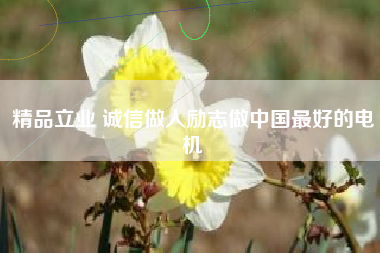 精品立業(yè) 誠信做人勵志做中國最好的電機(jī)